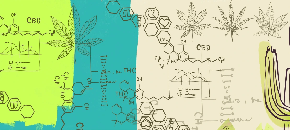 AzCANN Updated Image